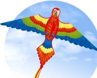 HQ Eco Parrot Kite